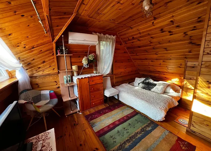 Dom wakacyjny Nowy Lubiel